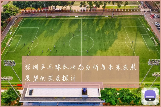 深圳乒乓球队状态分析与未来发展展望的深度探讨
