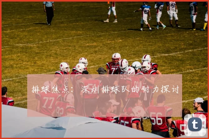 排球焦点：深圳排球队的耐力探讨