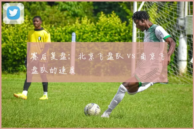 赛后复盘：北京飞盘队 vs 南京飞盘队的速度