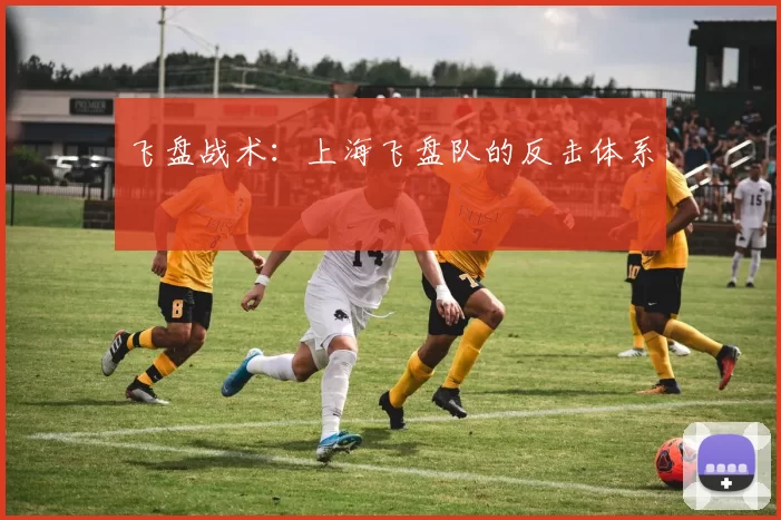 飞盘战术：上海飞盘队的反击体系